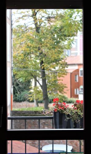 a window with a pot of flowers on a balcony at Appartamento Via Mazzini in Rovigo