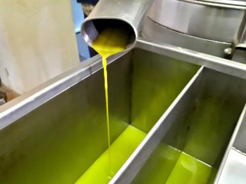 a stream of mustard being poured into a metal sink at Agriturismo Antico Borgo Poggitazzi in Loro Ciuffenna