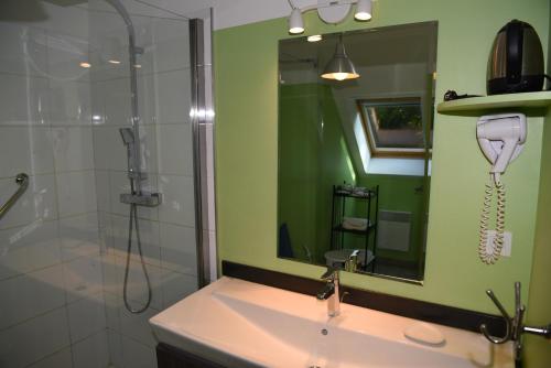 a bathroom with a shower and a sink with a blow dryer at La Maison D'hôtes Du Mont Des Cats in Godewaersvelde