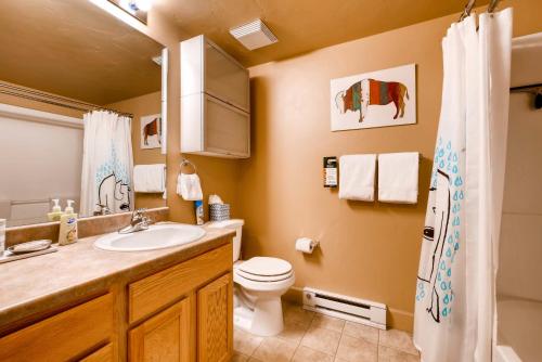 a bathroom with a sink and a toilet and a shower at First Tracks in Steamboat Springs