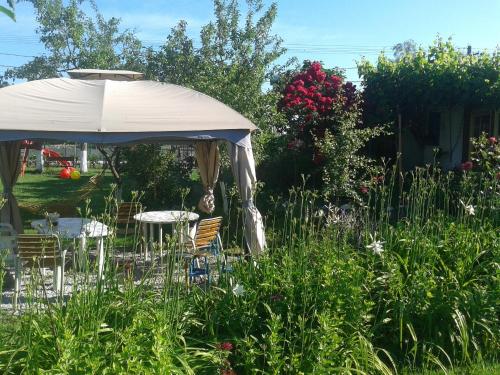 Aed väljaspool majutusasutust Camping Casuta Mihaela