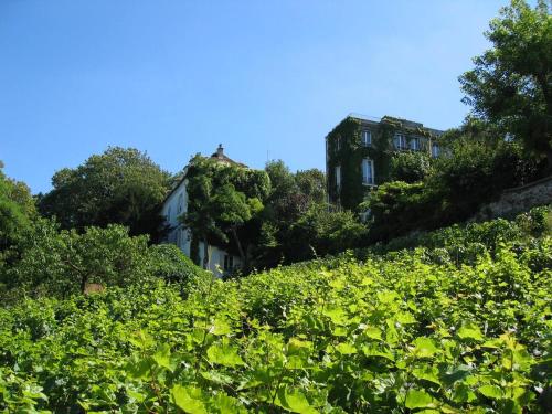 Κήπος έξω από το Ateliers de Montmartre ADM