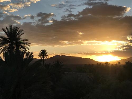 a sunset in the desert with a palm tree at Riad Dar Bab Todra in Tinerhir
