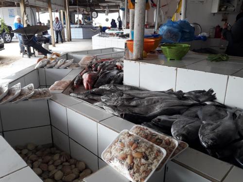 a bunch of fish on display in a market at Depto Maitencillo frente al Mar - Costamai in Maitencillo