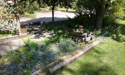 a garden with blue flowers in the grass at Alaska Chalet Bed & Breakfast in Eagle River