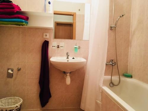 Koupelna v ubytování Apartman Jarosova