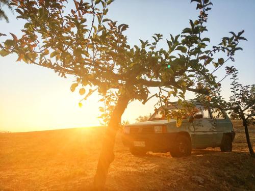 a van parked next to a tree in a field at Bricco Del Gallo in Sinio