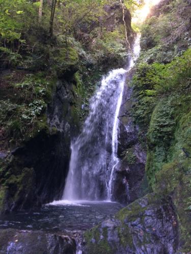 Un paisaje natural cerca de la casa de huéspedes