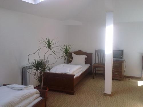 a bedroom with two beds and two plants on the wall at Guest House Todorini kashti in Koprivshtitsa
