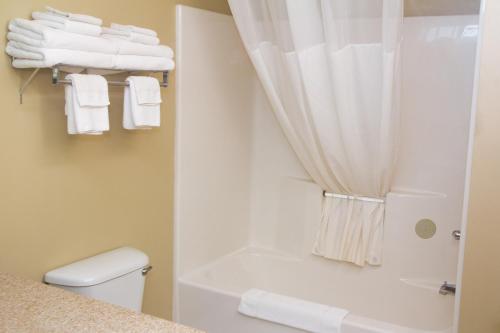 La salle de bains est pourvue de toilettes, d'une douche et de serviettes. dans l'établissement Country Inn & Suites by Radisson, Marion, OH, à Marion