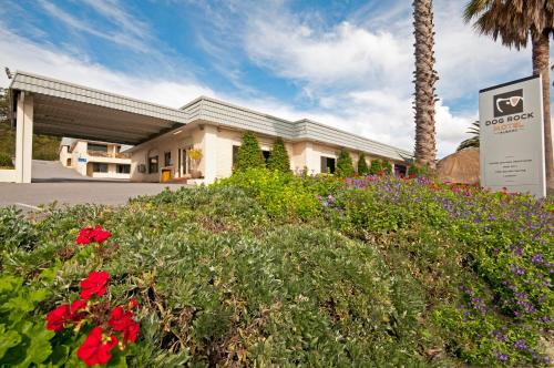 a building with a lot of flowers in front of it at Dog Rock Motel in Albany