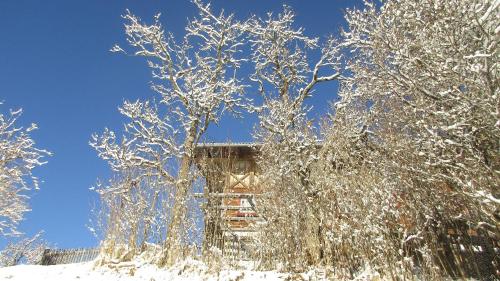 a building covered in snow next to some trees at Achentaler Bauernhäusl in Achenkirch