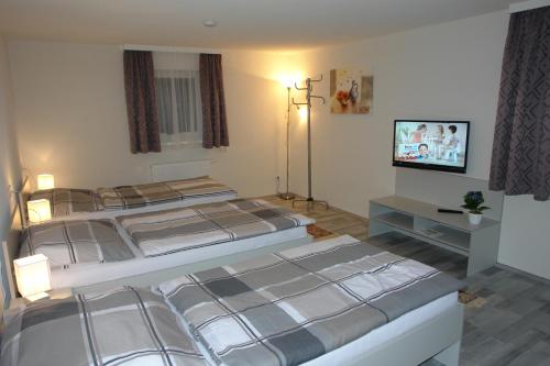 SchwanenstadtにあるGästehaus Danielaのベッドルーム(ベッド1台、テレビ付)