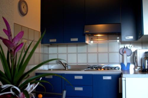 a kitchen with blue cabinets and a sink and a plant at Casa Marica in Porto Valtravaglia