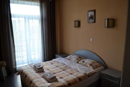 a bedroom with a bed and a large window at Kalina in Chernivtsi