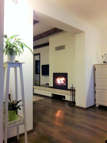a living room with a fireplace and a tv at Spacious Apartment "Ana" on lake Sabljaci in Ogulin