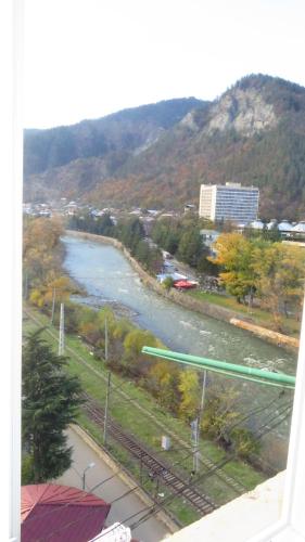 a view of a river with a mountain in the background at Apartment Erekle in Borjomi