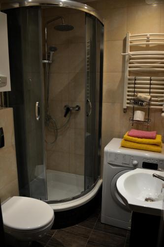 W łazience znajduje się prysznic, umywalka i toaleta. w obiekcie DRAGON Apartments (Helena) w Krakowie