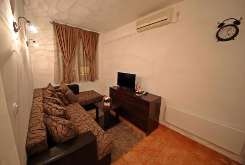 a living room with a couch and a tv at Apartman Vanja in Bar