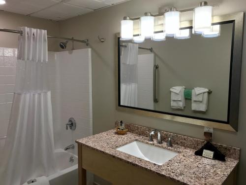 a bathroom with a sink, mirror, and shower stall at Bar Harbor Villager Motel - Downtown in Bar Harbor