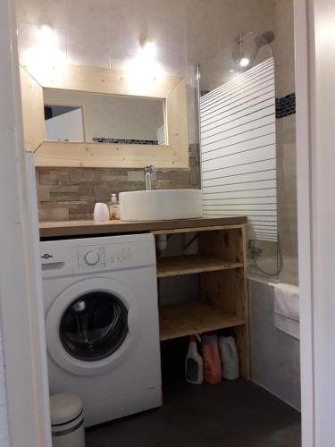 une petite salle de bains avec un lave-linge et un lavabo dans l'établissement Résidence le Plein Sud, à Les Deux Alpes