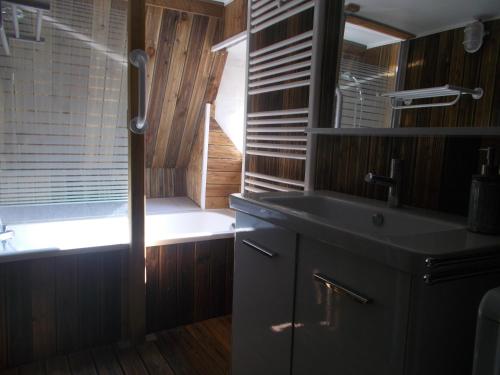 une salle de bain avec un lavabo et une baignoire dans l'établissement Appartement de charme centre historique Sarlat, à Sarlat-la-Canéda