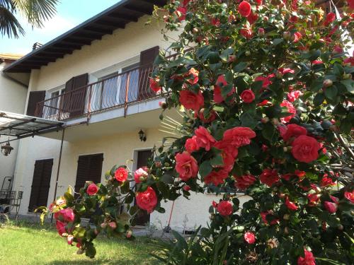 波爾托瓦爾特拉瓦利亞的住宿－Appartamento Ibisco，房子前面的红玫瑰丛