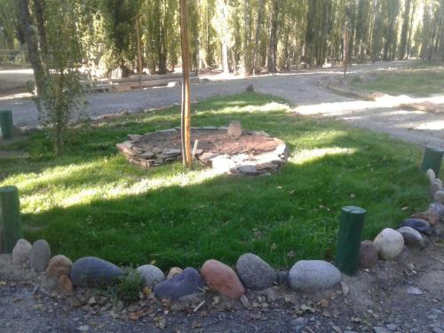 a garden with a tree and rocks in the grass at Balcon de Antares in Uspallata