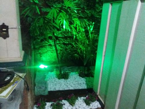 a aquarium with plants in a room with green lights at Pousada Vovô Chiquinho in Tiradentes