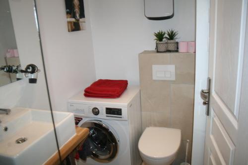 a bathroom with a washing machine and a sink at Gîte Pays D'Auge Lisieux Centre in Lisieux