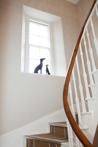 two cats sitting on the window ledge of a staircase at Victoria House in Stow on the Wold