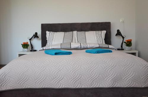 1 cama grande con 2 almohadas azules en Apartament Leliwa - Centrum, en Tarnów