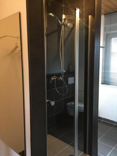 a bathroom with a shower and a toilet at KRIO Nicola Rothfuchs Ferienwohnung 1 in Idar-Oberstein