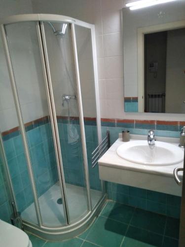 a bathroom with a shower and a sink at Apartamento Pirineo Aragonés in Latas