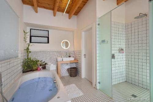 a bathroom with a tub and a shower and a sink at Halom Be'Dor in Dor