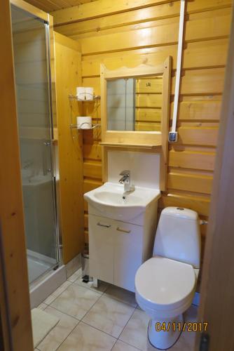 a bathroom with a toilet and a sink and a shower at Willa Magdalena in Zakopane