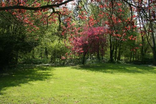 Jardín al aire libre en De Biesenberg