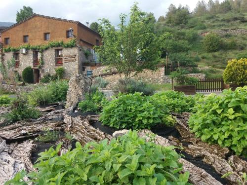 an organic garden in front of a house at Casa Rural Molí de Fòrnols in Fornols