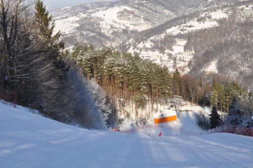 a snow covered slope with trees and a mountain at Willa Nad Wodospadem in Szczawnica