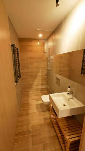 a bathroom with a sink and a toilet at Apartamenty Willowa in Szczyrk