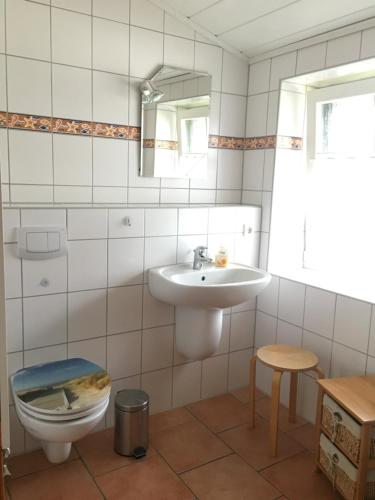 a bathroom with a sink and a toilet and a mirror at Haus Hugo in Zingst