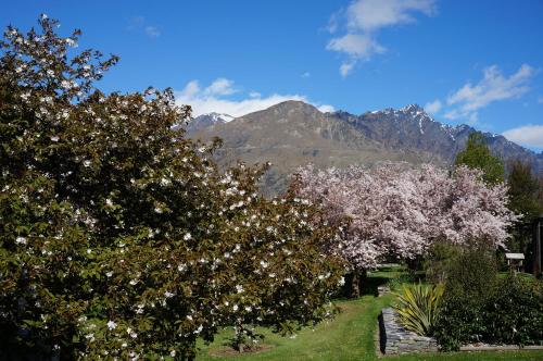 a group of trees with white flowers in front of a mountain at Haven Suite Luxury 5 Star in Queenstown