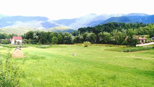 a large green field with mountains in the background at Apartment Mehi in Pazarić