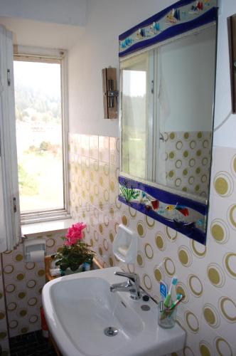 a bathroom with a sink and a mirror at Rosa dei venti in Lavarone