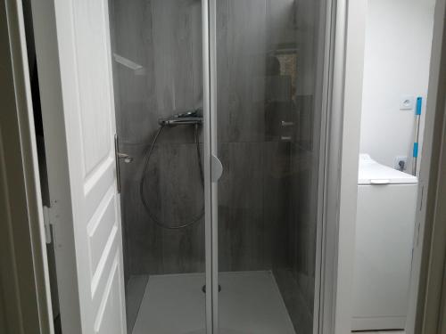 La salle de bains est pourvue d'une douche avec une porte en verre. dans l'établissement studio en campagne, à La Chapelle-Neuve