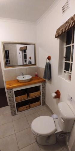 a bathroom with a toilet and a sink and a mirror at Pin Oak Cottage in Underberg