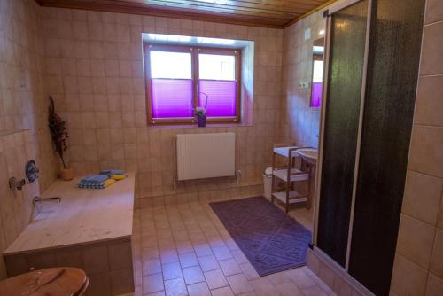 łazienka z prysznicem, umywalką i oknem w obiekcie Landhaus KATRIN w mieście Holzgau