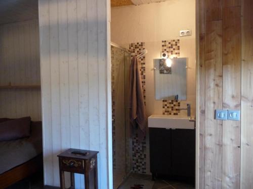 EspinasseにあるStudio chez Jean-Michelのバスルーム(シンク、シャワー、トイレ付)