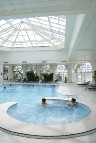 a dog in a swimming pool in a building at El Mouradi Hammamet in Hammamet