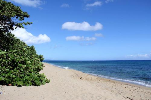 uma praia arenosa com árvores e o oceano em Villas Vargas em Sosúa